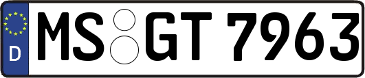 MS-GT7963