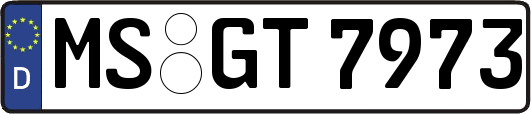 MS-GT7973