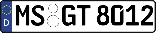 MS-GT8012