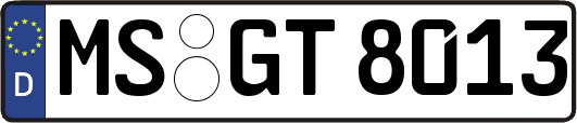 MS-GT8013
