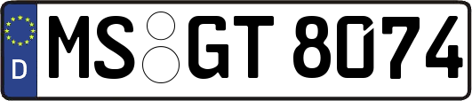 MS-GT8074