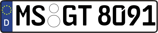 MS-GT8091