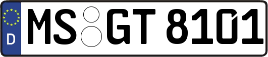 MS-GT8101