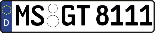 MS-GT8111