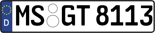 MS-GT8113