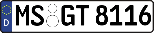 MS-GT8116