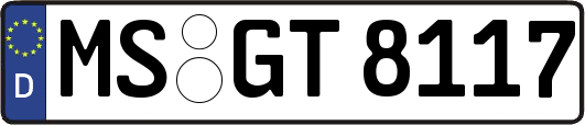 MS-GT8117
