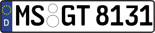 MS-GT8131