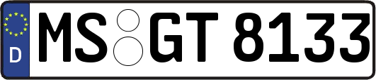 MS-GT8133