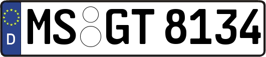MS-GT8134