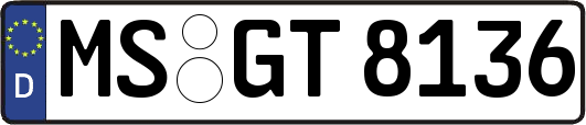 MS-GT8136