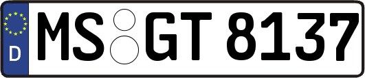MS-GT8137