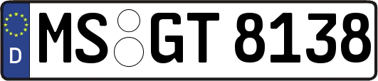 MS-GT8138