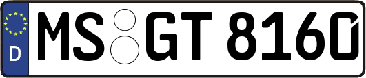MS-GT8160