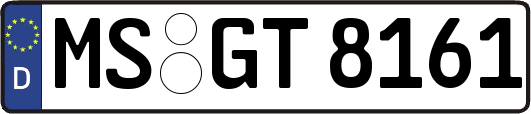 MS-GT8161