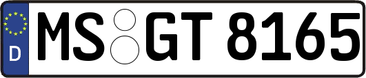 MS-GT8165