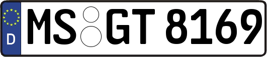 MS-GT8169