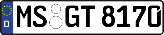 MS-GT8170