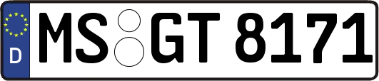 MS-GT8171