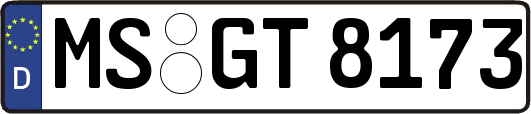 MS-GT8173