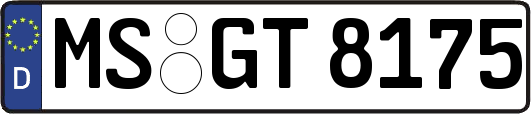 MS-GT8175