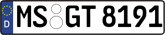 MS-GT8191