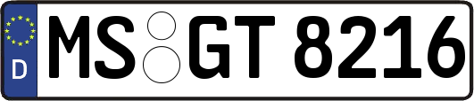 MS-GT8216