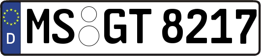 MS-GT8217