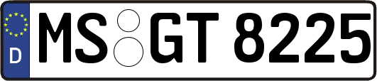 MS-GT8225