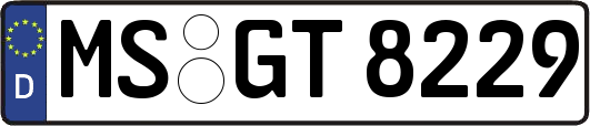 MS-GT8229