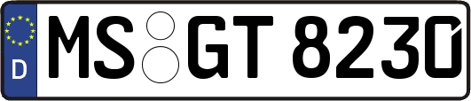 MS-GT8230