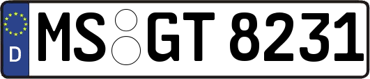MS-GT8231