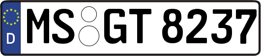 MS-GT8237