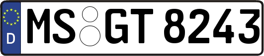 MS-GT8243