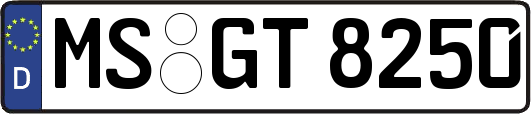 MS-GT8250