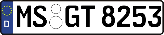 MS-GT8253