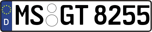 MS-GT8255