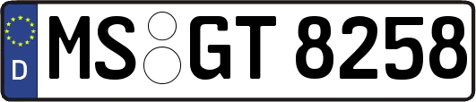 MS-GT8258