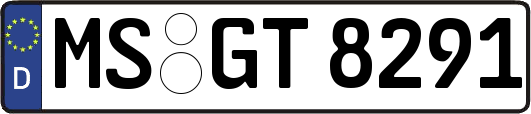 MS-GT8291