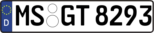 MS-GT8293