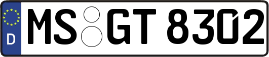 MS-GT8302