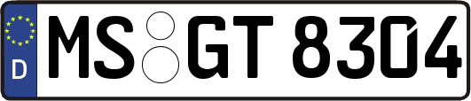 MS-GT8304