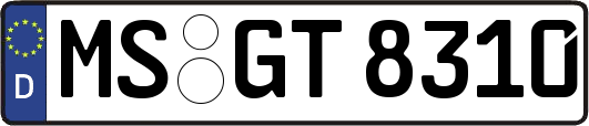 MS-GT8310