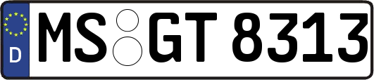 MS-GT8313