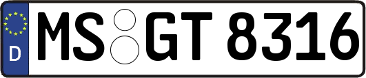 MS-GT8316
