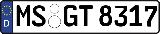 MS-GT8317