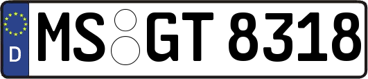 MS-GT8318