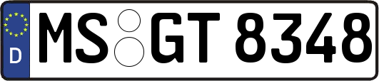 MS-GT8348