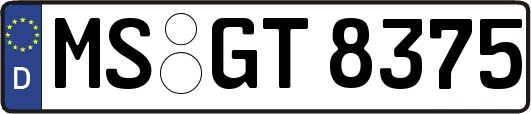MS-GT8375