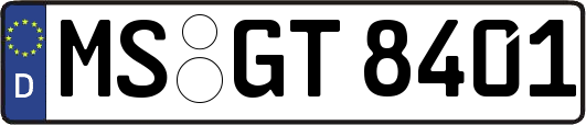 MS-GT8401